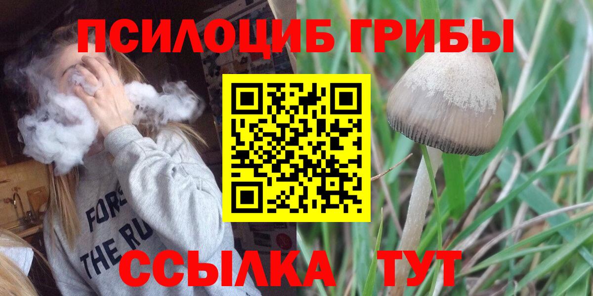 Псилоцибиновые грибы мухоморы  Псилоцибиновые грибы ЛСД  Советская Гавань  Вход с VPN 
