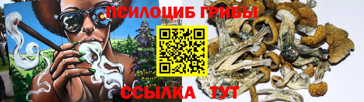 Псилоцибиновые грибы Cubensis Советская Гавань